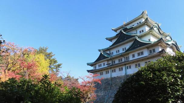 名古屋城　天守　紅葉 名古屋城,尾張徳川家,御三家の写真素材