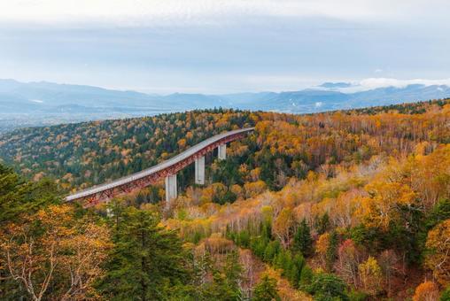 秋の三国峠 三国峠,秋,紅葉の写真素材