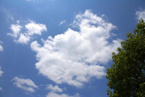Photo, blauer himmel, leer, wolke, 
