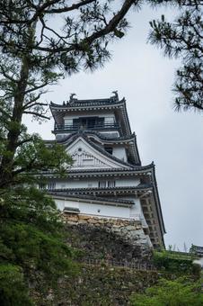 Kochi Castle Tower 2, city, castle, kochi city, JPG