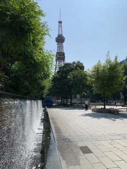 新緑が茂る7月初旬札幌大通公園西2丁目 大通公園,さっぽろテレビ塔,タワーの写真素材