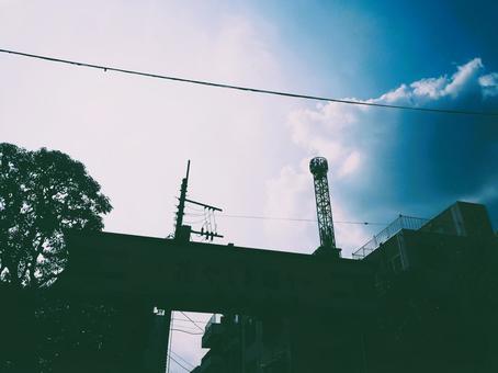 Photo, hanasikiki, asakusa, sunset, 