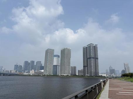 豊洲公園ウォーキング 豊洲公園ウォーキングの写真