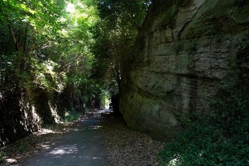 ［神奈川県鎌倉市］亀ケ谷坂切通 鎌倉,亀ケ谷坂切通,切通しの写真素材