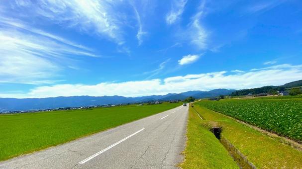 夏の田園風景(富山・南砺市):12 夏の田園風景(富山・南砺市):12 田,田園,田んぼの写真素材