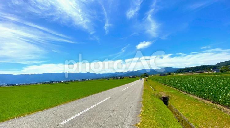 夏の田園風景（富山・南砺市）：12 田,田園,田んぼの写真素材