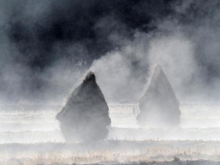 湯気にけむる田んぼ 田んぼ,湯気,朝の写真素材