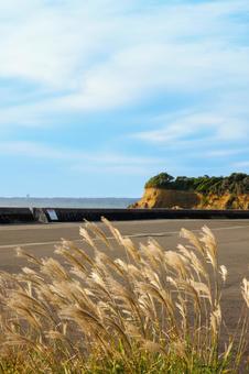 ススキと海と空 秋の海辺 自然,空,海の写真素材