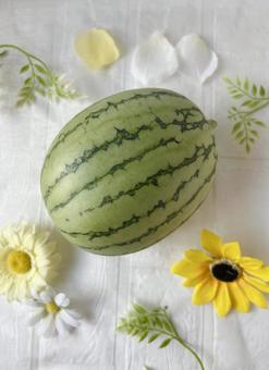 夏の果物小玉スイカを壁紙アレンジ(縦 夏の果物小玉スイカを壁紙アレンジ(縦 スイカ,小玉スイカ,夏の写真素材