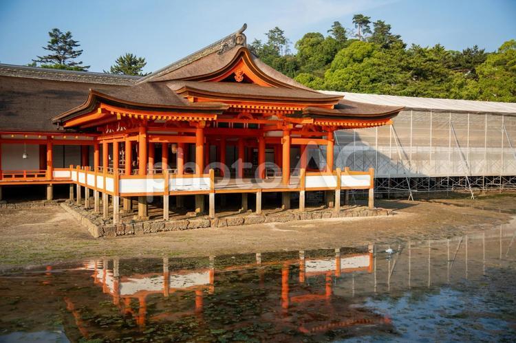 厳島神社の夕暮れ 厳島神社,宮島,広島の写真素材