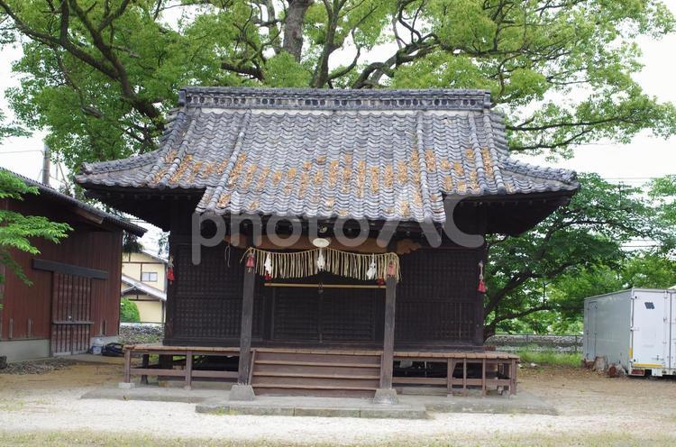 社 お参り,参拝,しめ縄の写真素材