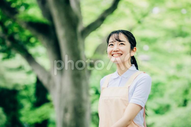 エプロンをつけた女性 介護士,看護師,ナースの写真素材