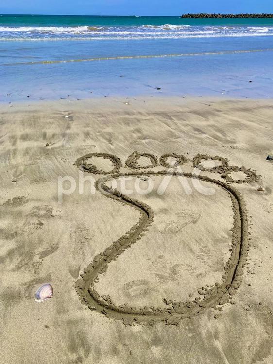 砂浜の足跡と貝殻 海,ビーチ,足跡の写真素材
