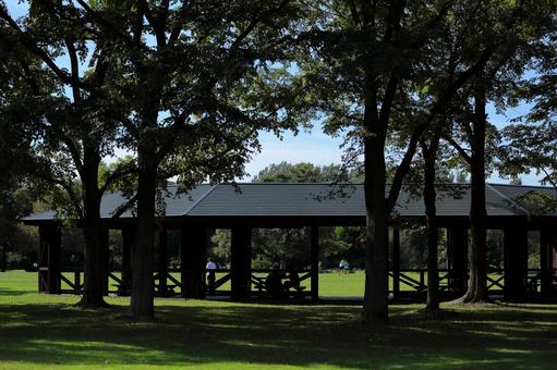 百合が原公園の風景2 百合が原公園の風景2 公園,東屋,あずまやの写真素材