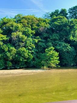 青空と光そして水面の写真