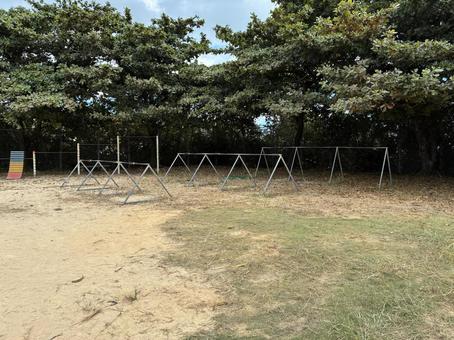 鉄棒 鉄棒,練習,学校の写真素材