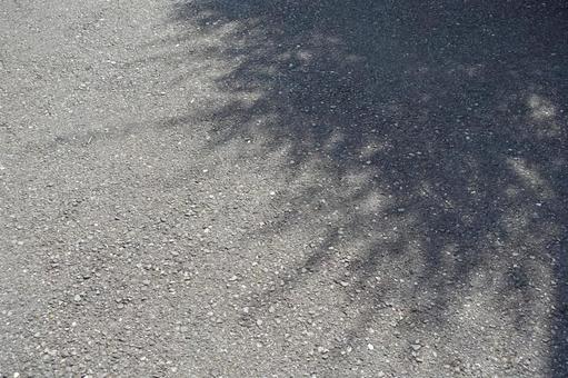 Shadows of trees on the street Summer silhouettes, JPG