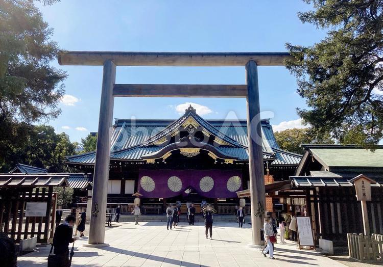 東京風景・靖国神社 靖国神社,靖国,神社の写真素材