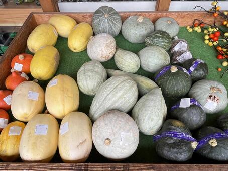 かぼちゃ カボチャ,かぼちゃ,野菜の写真素材