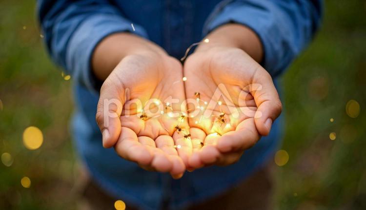 子供の手の中で光る蛍 手,ホタル,乱舞の写真素材