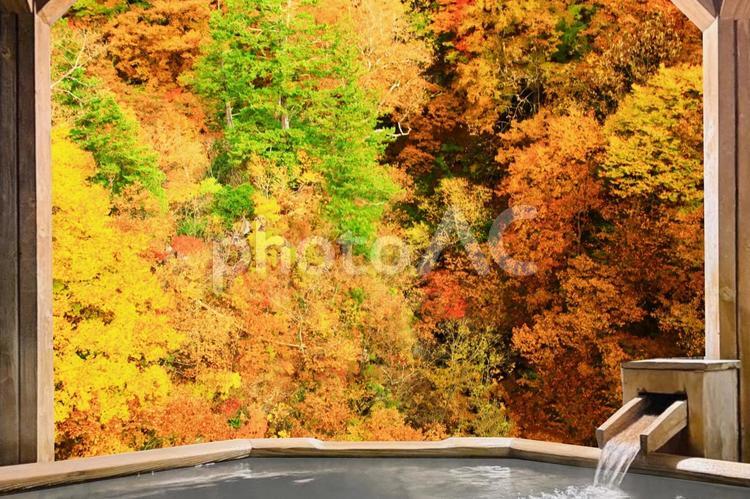 紅葉と温泉のイメージ 温泉,露天風呂,旅の写真素材