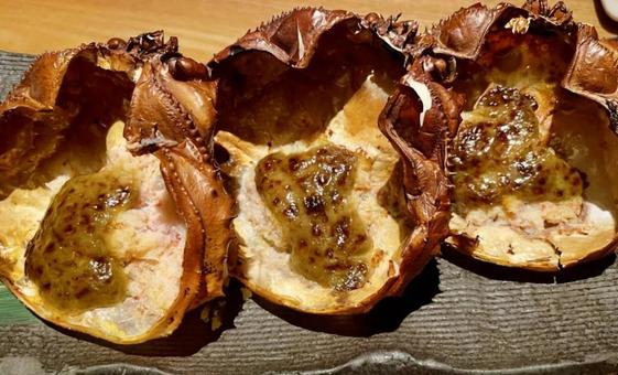 Photo, crab, miso, shell, 