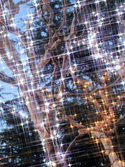 クリスマスイルミネーション イルミネーション,クリスマス,夜景の写真素材