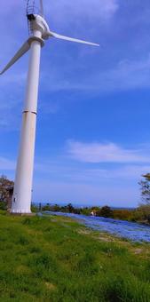 福島の春 春,花,風景の写真素材