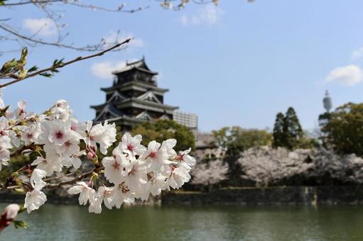 風景_155 風景_155の写真