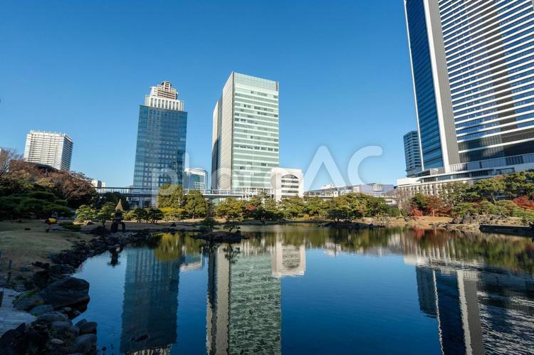 高層ビルと庭園の池 浜松町,旧芝離宮恩賜庭園,東京の写真素材