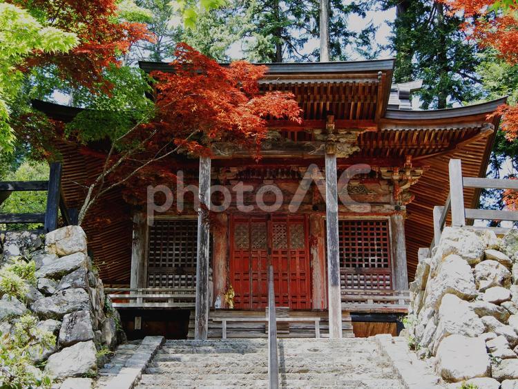 谷汲山 華厳寺 西国三十三番満願霊場  華厳寺,谷汲山,寺の写真素材