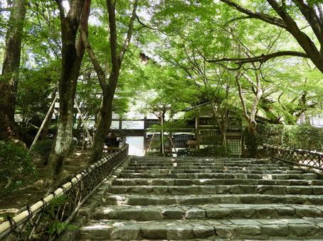 龍安寺方丈下の石段 龍安寺方丈下の石段の写真