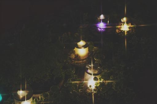 植物の中に灯る幻想的なキャンドル キャンドル,キャンドルナイト,ろうそくの写真素材