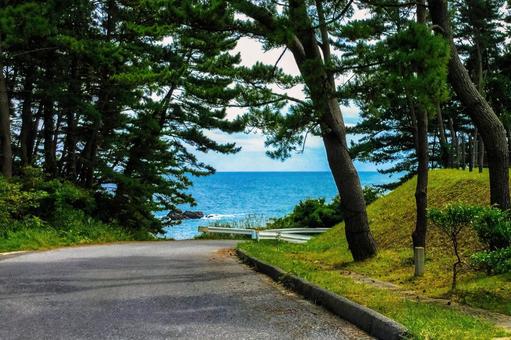 Photo, kurosaki saisyo, iwate prefecture, rikuzentakata city, 