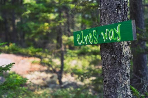 メイン州の森の中の可愛い英語の看板 メイン州の森の中の可愛い英語の看板 海外,アメリカ,メイン州の写真素材