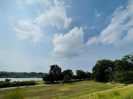 雲と木立の広がり 雲と木立の広がりの写真