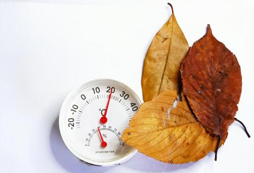 温湿度計＆落葉① 乾燥,温湿度計,枯れ葉の写真素材