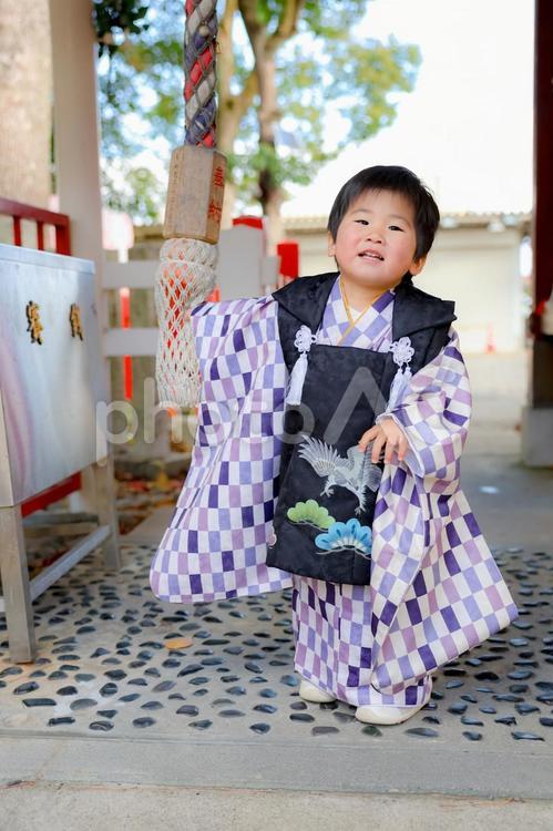 七五三の男の子 袴姿,袴,七五三の写真素材