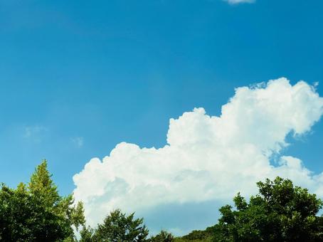 夏休みの宿題 青空,青,blueの写真素材