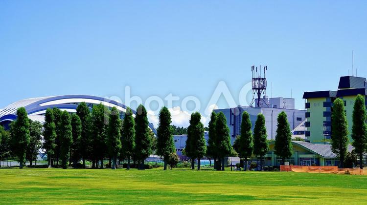 夏の晴れの日の辰巳の森海浜公園 辰巳の森海浜公園,公園,緑地の写真素材