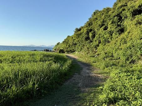 山口県彦島 砂浜の終端 山口県彦島 砂浜の終端 ひこっとらんどマリンビーチ,彦島,山口県の写真素材