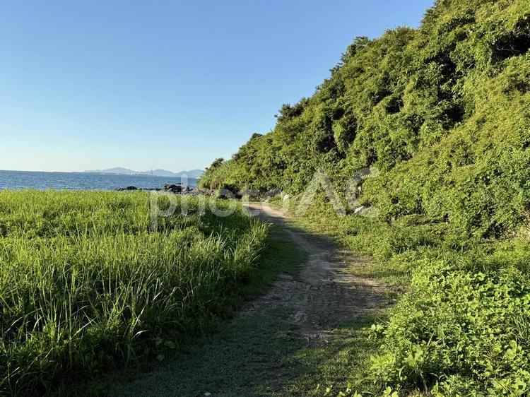 山口県彦島　砂浜の終端 ひこっとらんどマリンビーチ,彦島,山口県の写真素材