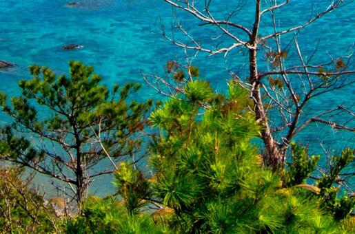 沖縄・背景 沖縄・背景の写真
