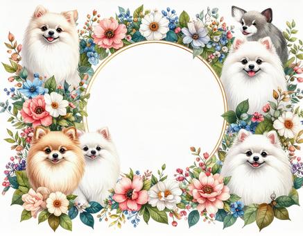 ポメラニアンと花のフレームの写真
