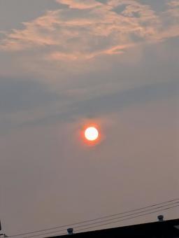 Photo, setting sun, evening, sunset, 
