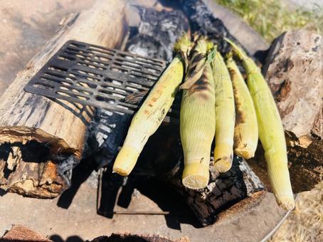 バーベキュー 海,晴れ,風景の写真素材