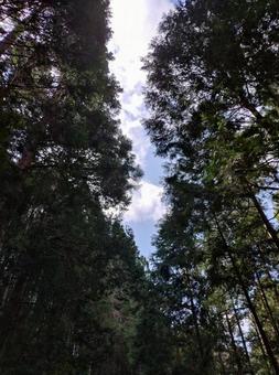In the mountains, JPG