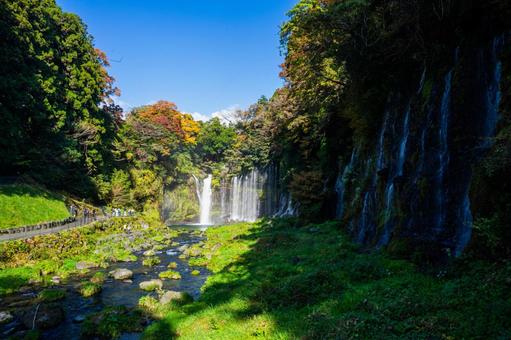 静岡 白糸の滝 白糸の滝,静岡,滝の写真素材