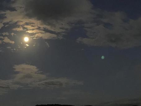 夕方の月 夕方の月 空,月,雲の写真素材
