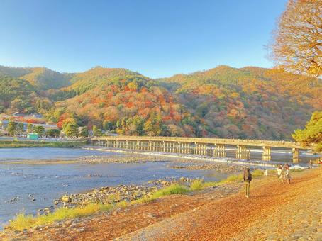 秋の京都 秋の京都 渡月橋,嵐山,京都の写真素材